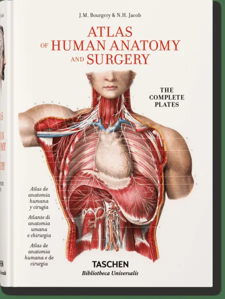 Bourgery Atlas Of Anatomy