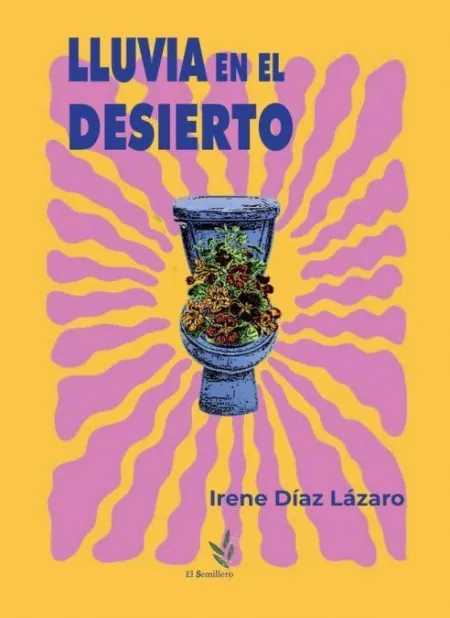 Lluvia en el Desierto
