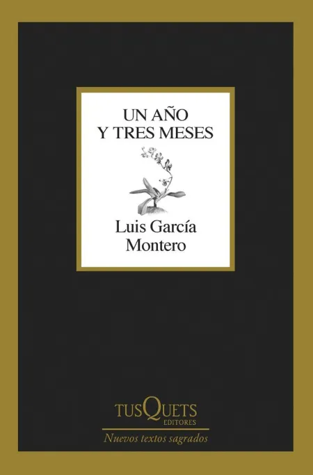 Un Año y Tres Meses