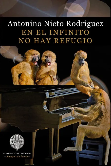 En el Infinito no Hay Refugio