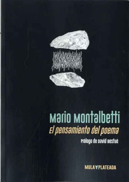 El Pensamiento del Poema