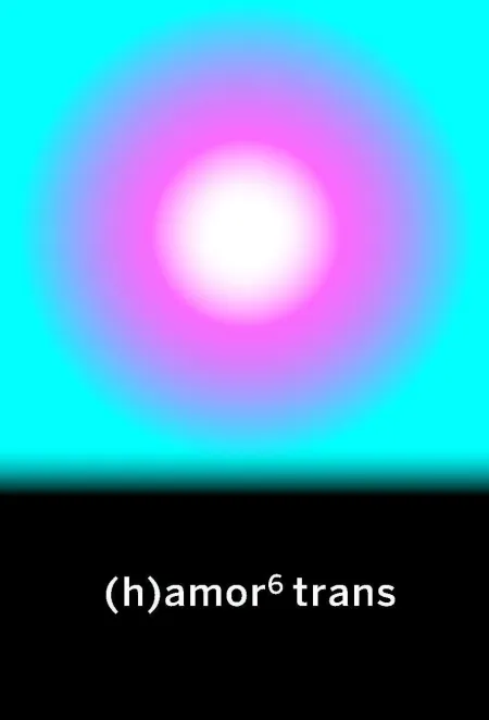 (H)Amor 6 Trans