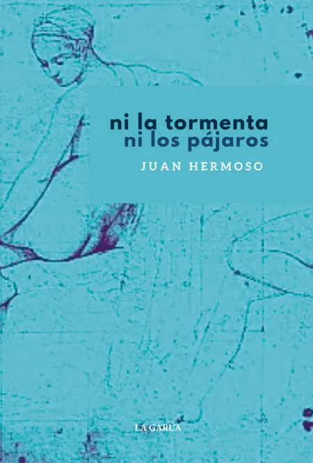 Ni la Tormenta Ni los Pájaros