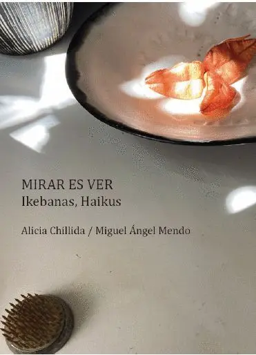 Mirar Es Ver