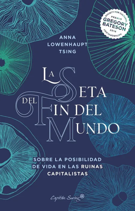 La Seta del Fin del Mundo