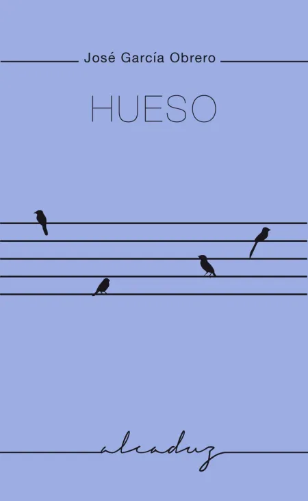 Hueso