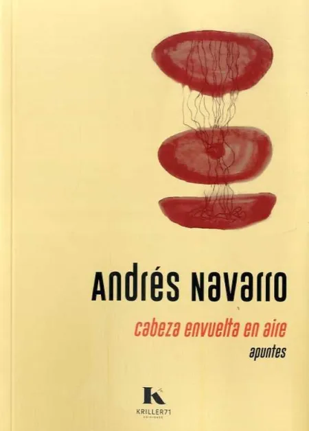 Cabeza Envuelta en Aire
