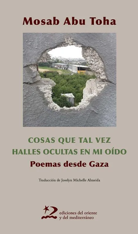 Cosas que Tal Vez Halles Ocultas en mi Oido