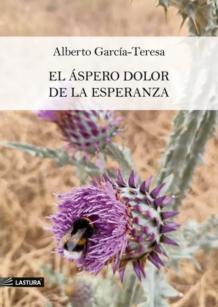El Áspero Dolor de la Esperanza