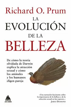 LA EVOLUCIÓN DE LA BELLEZA