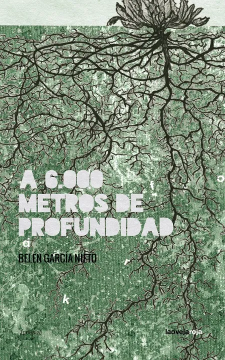 A 6. 000 Metros de Profundidad