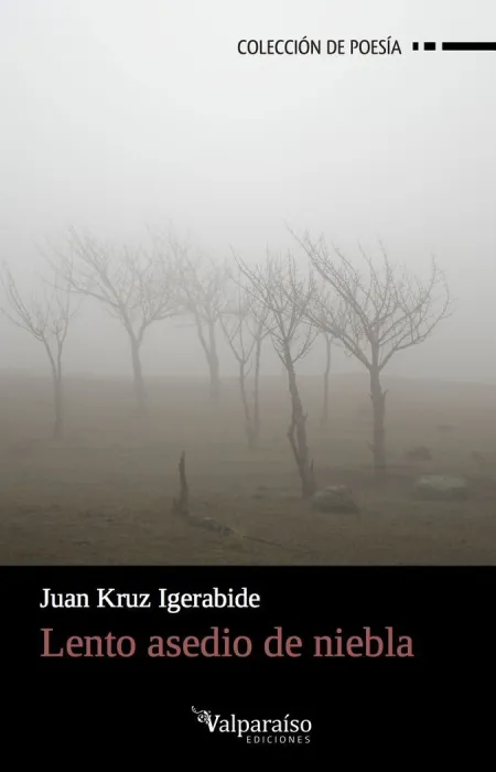 Lento Asedio de Niebla