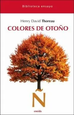 Colores de Otoño