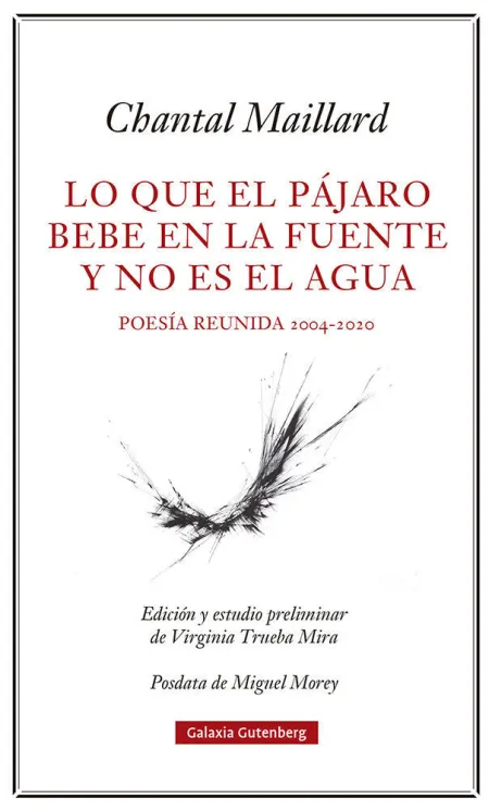 Lo que el Pájaro Bebe en la Fuente y no Es el Agua