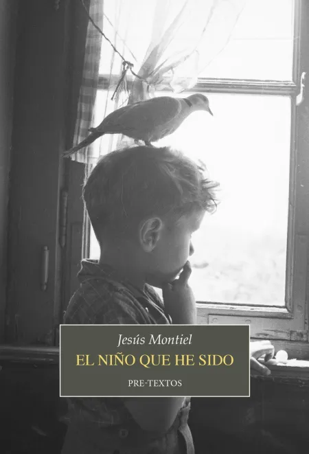 El Niño que He Sido