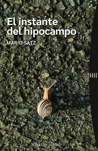 El Instante del Hipocampo