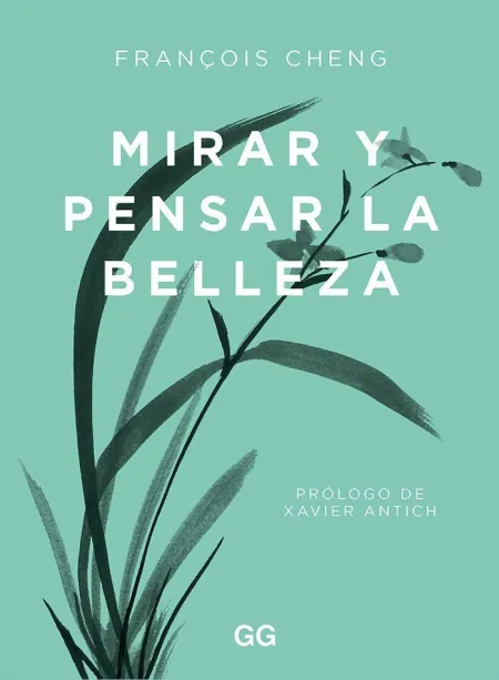 Mirar y Pensar la Belleza