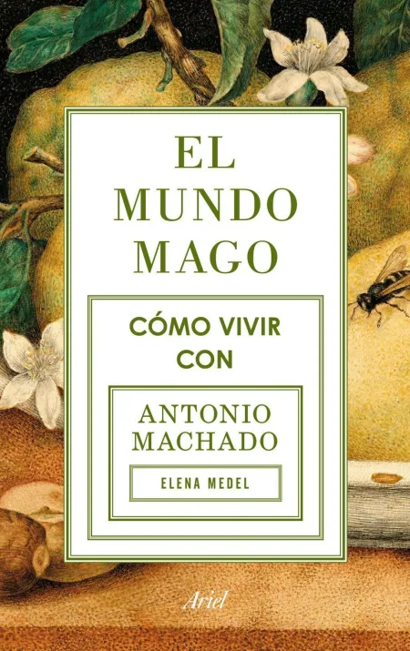 El Mundo Mago
