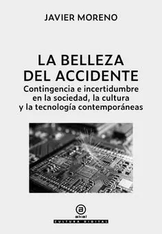 La Belleza del Accidente