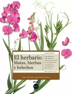 EL HERBARIO: MATAS, HIERBAS Y HELECHOS