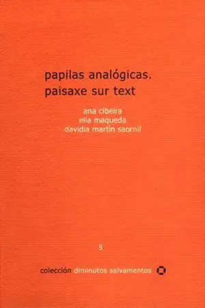 Papilas Analógicas ; Paisaxe Sur Text