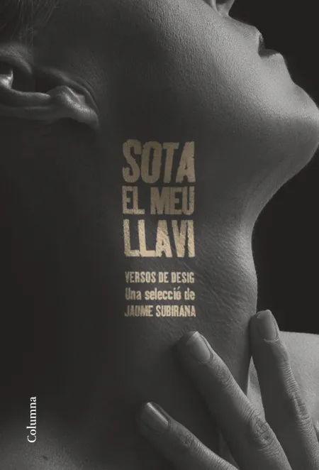 Sota el Meu Llavi
