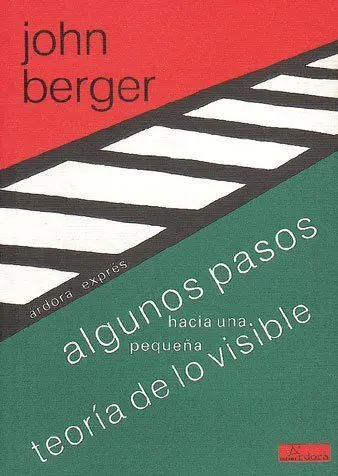 Algunos Pasos Hacia una Pequeña Teoría de lo Visible