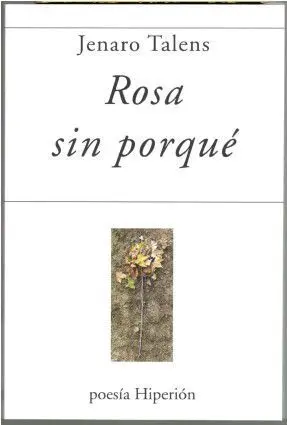 Rosa sin Porque
