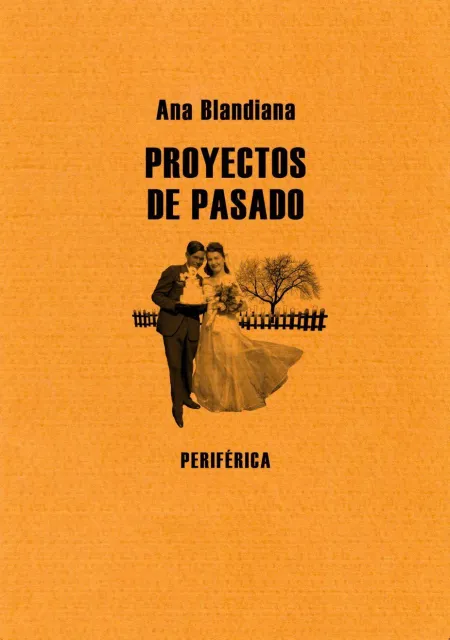 Proyectos de Pasado