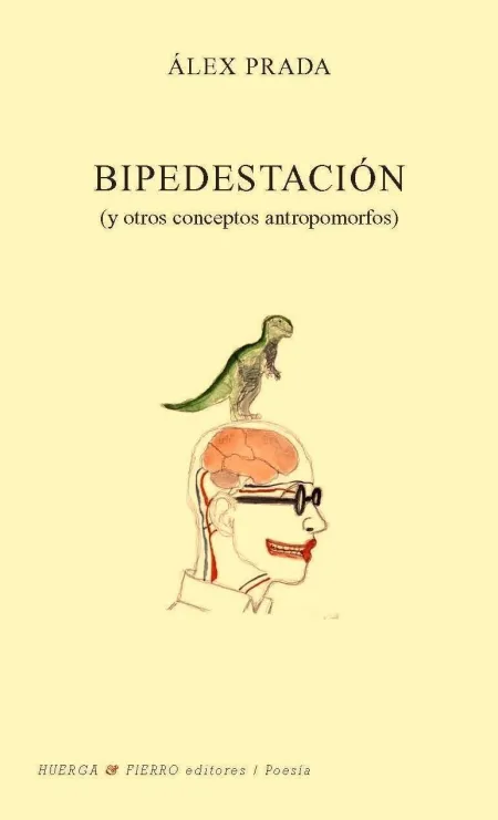 Bipedestación