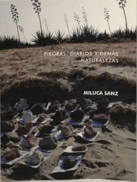 Piedras, Diarios... Y Demás Naturalezas