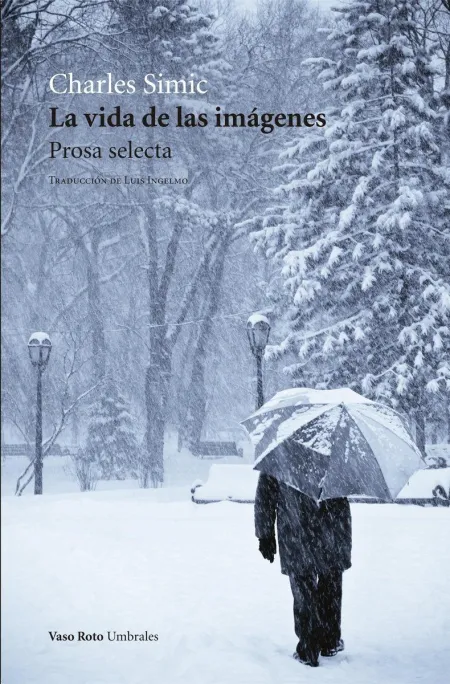 La Vida de las Imágenes