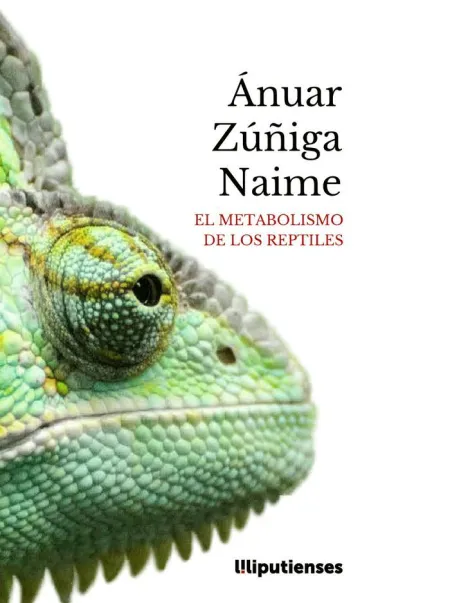 El Metabolismo de los Reptiles