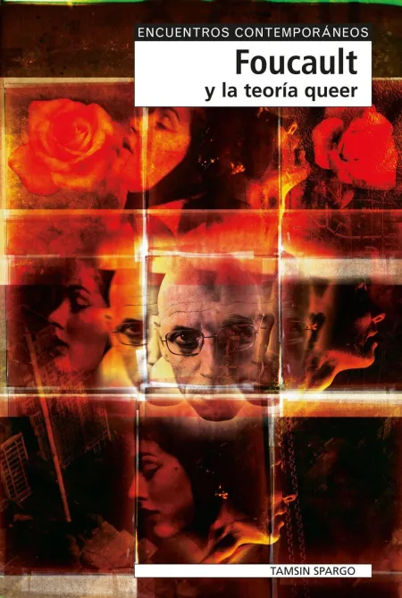 Foucault y la Teoría Queer