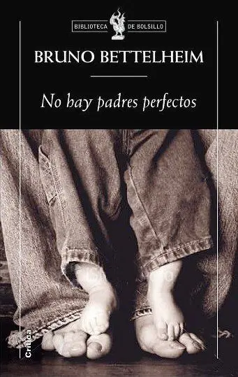 No Hay Padres Perfectos