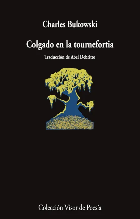 Colgado en la Tournefortia