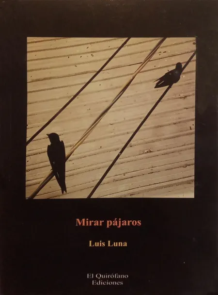 Mirar Pajaros