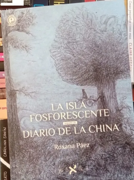 La Isla Fosforescente - Diario de la China