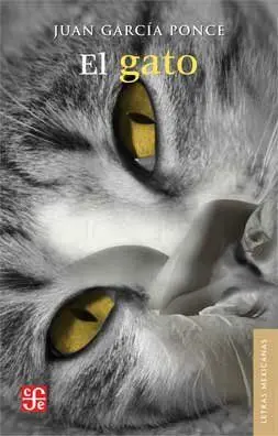 El Gato