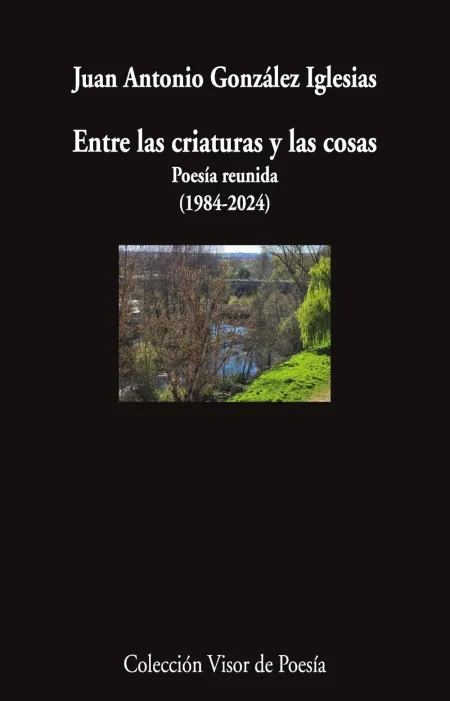 Entre las Criaturas y las Cosas