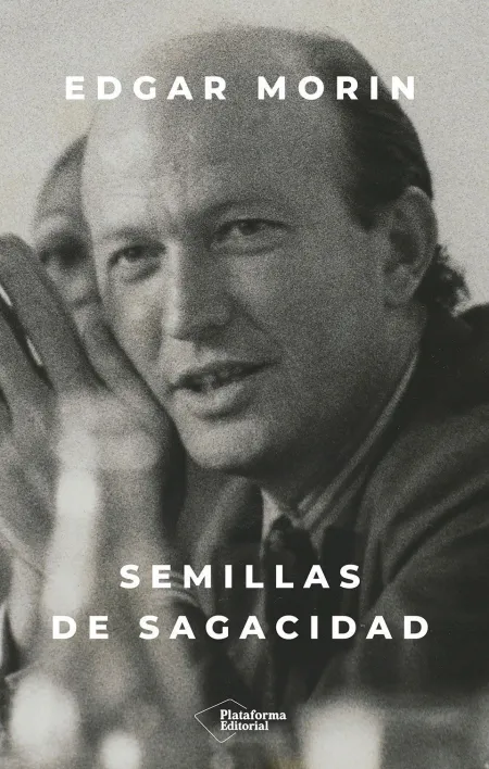 Semillas de Sagacidad