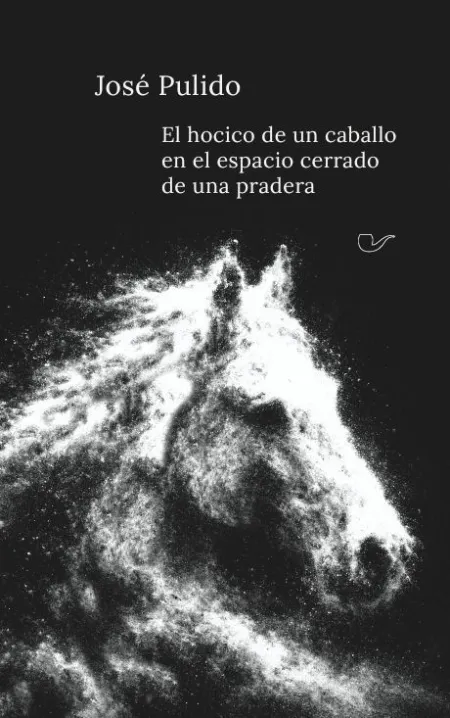 El Hocico de un Caballo en el Espacio Cerrado de una Pradera